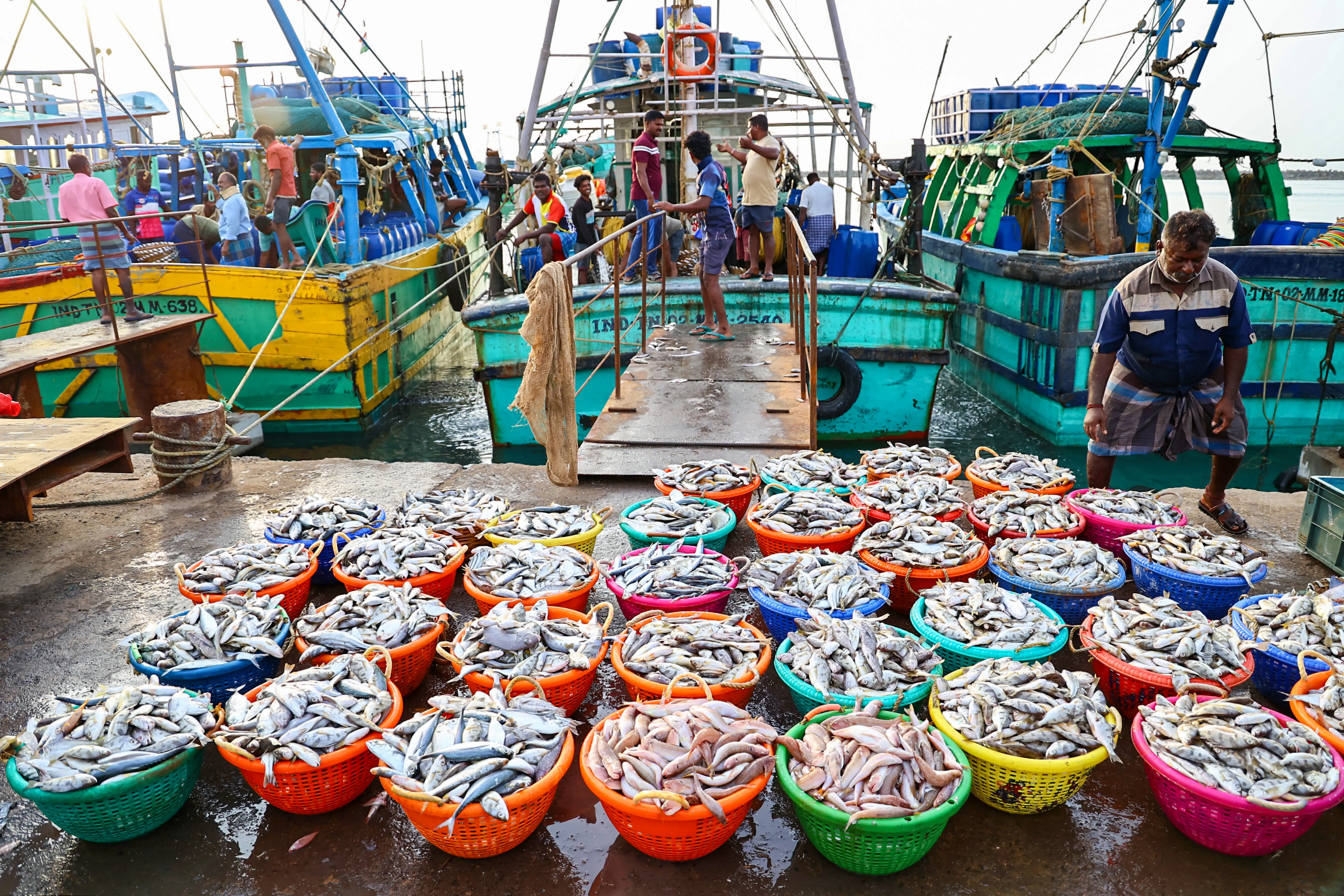 How Can Identifying State-Specific Species Boost India’s Seafood Exports?