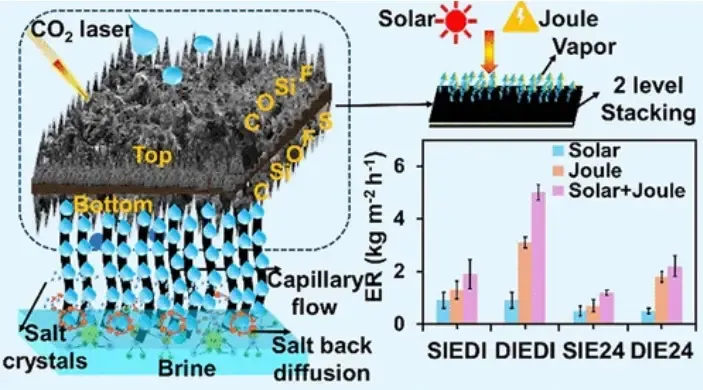 IIT Bombay Researchers Create Solar Evaporators Resembling Lotus Leaves for Saltwater Purification