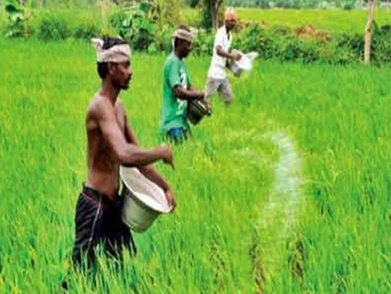 Will the IMD Forecast for an Early Monsoon Enhance Kuruvai Prospects in TN's Cauvery Delta?