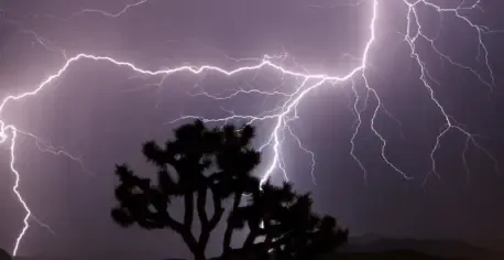 What Does the IMD's Orange Alert Mean for Multiple States?