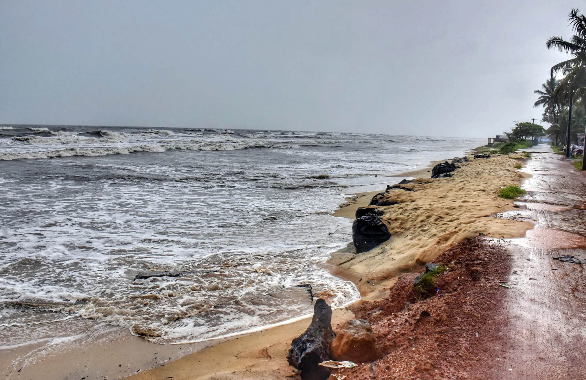 Is a Low-Pressure System Brewing in the Arabian Sea?