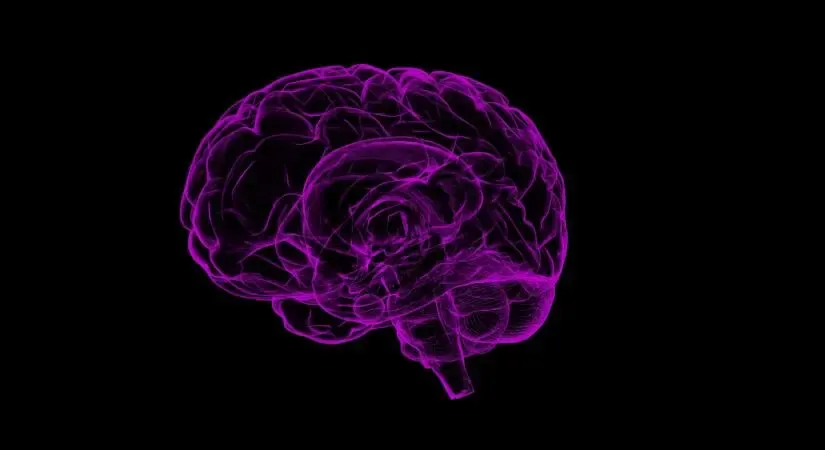 Alterations in Immune System Linked to Schizophrenia: Research Findings