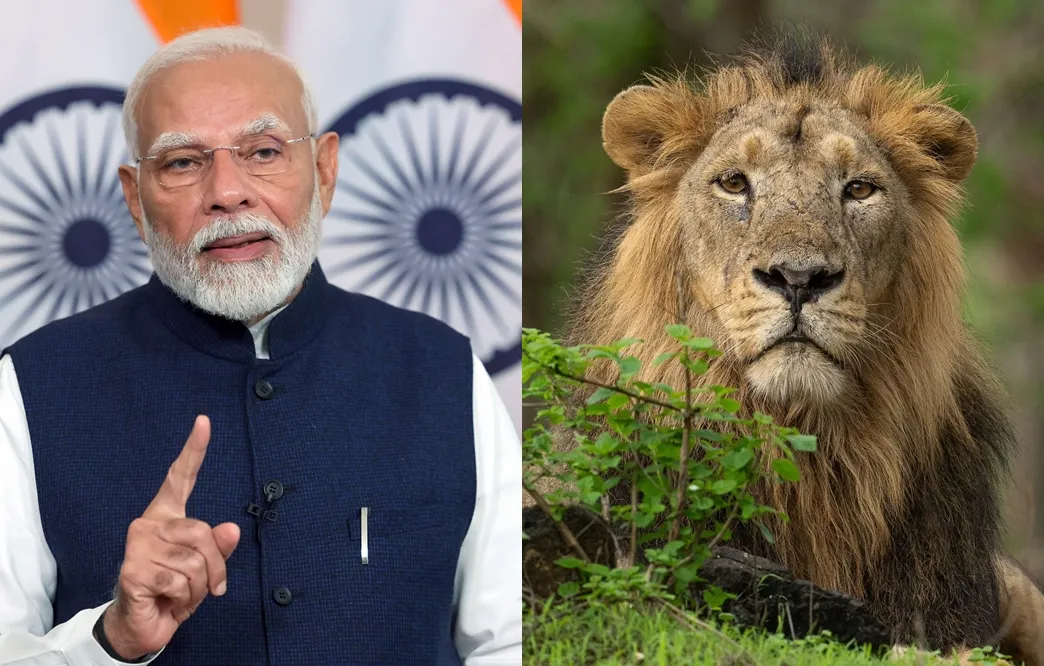 India Partners with International Big Cat Alliance for Headquarters