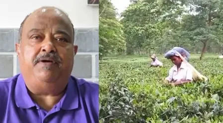 India Secures Position as Third Largest Tea Exporter, Generating Rs 7,111 Crore in 2024