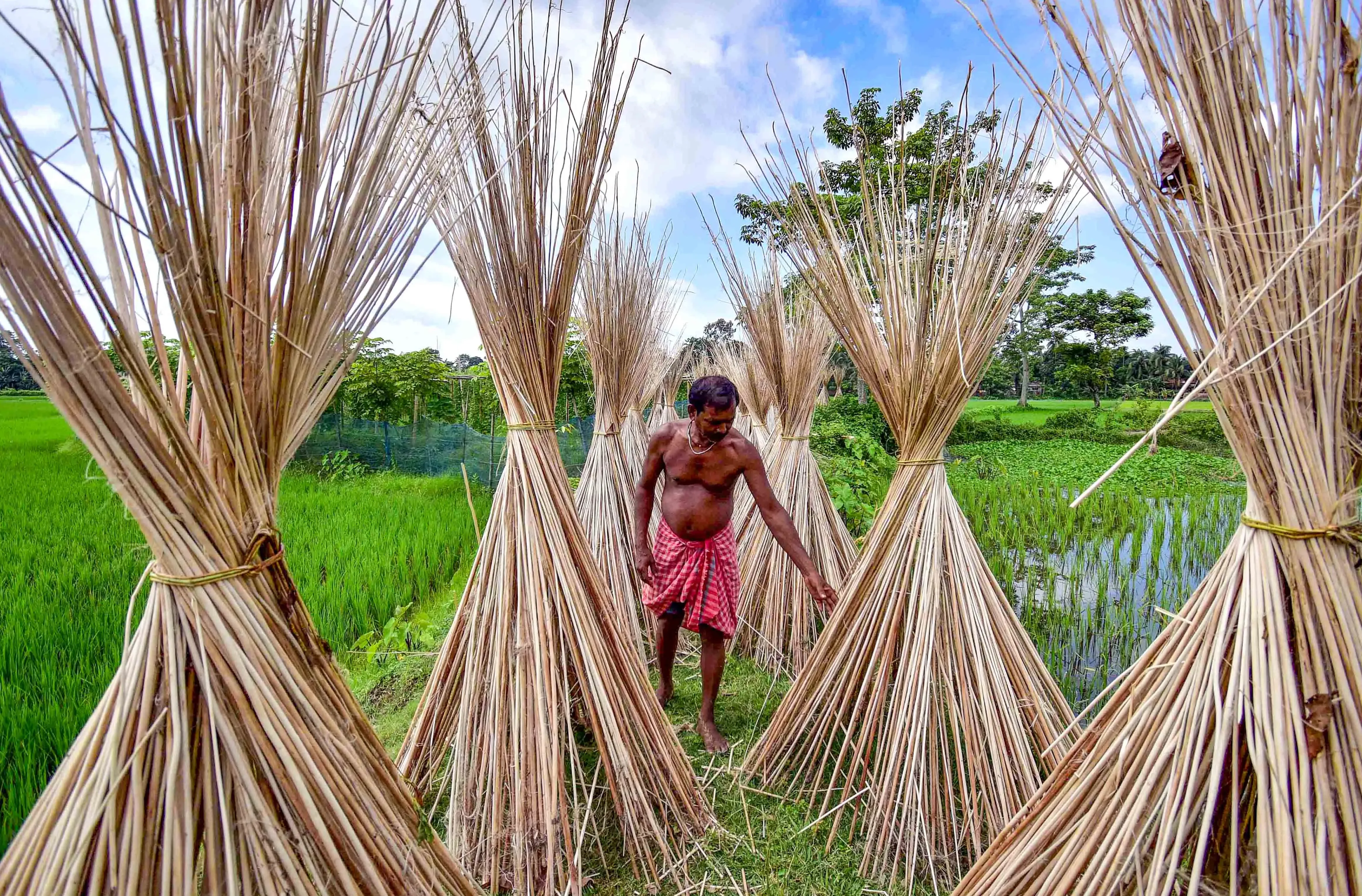 Why is India Restricting Jute Imports from Bangladesh?