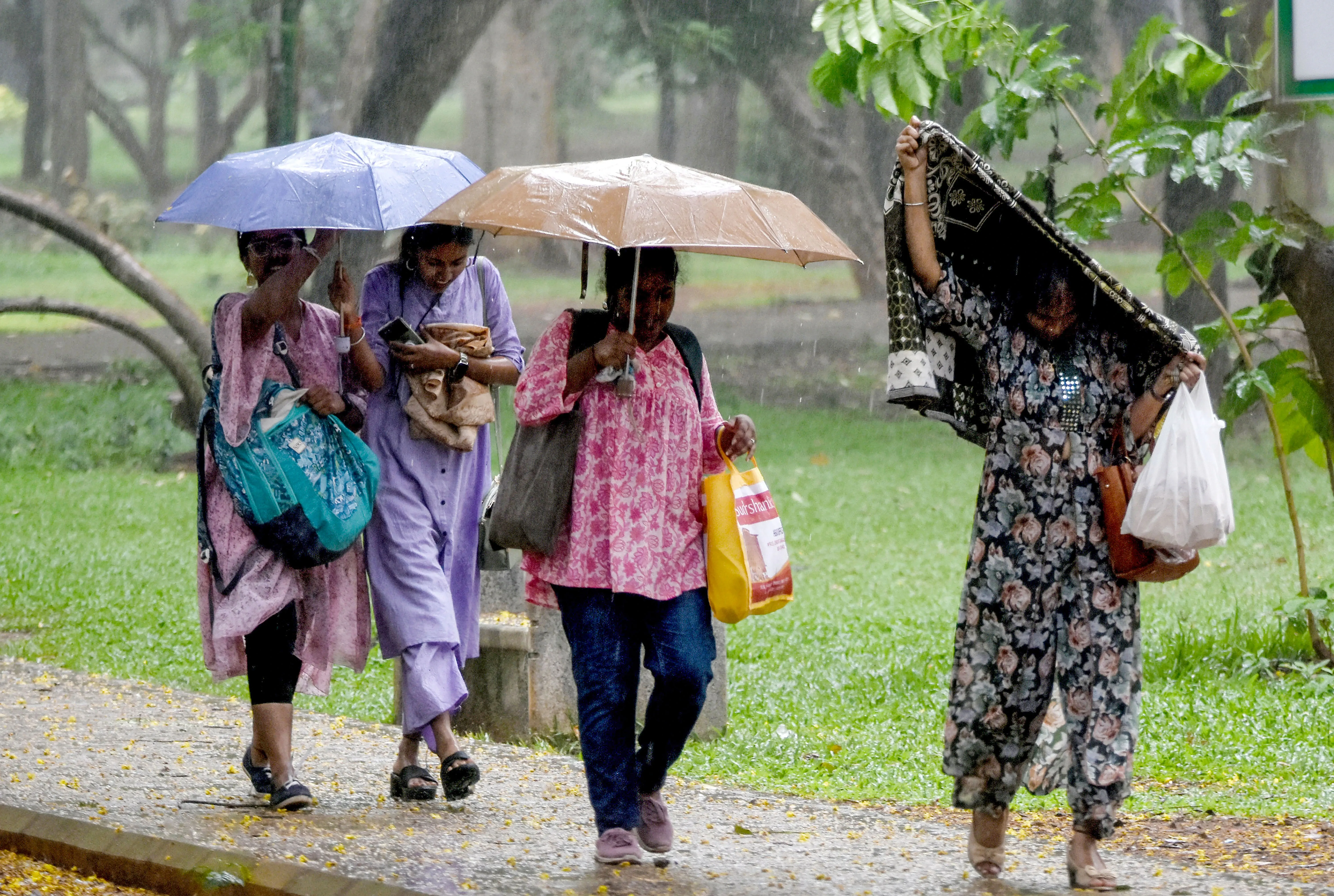 Has India Launched the Bharat Forecast System to Enhance Monsoon Tracking and Disaster Management?