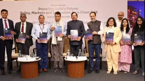 India Must Increase Non-Fossil Fuel Capacity to 600 GW by 2030: CEEW