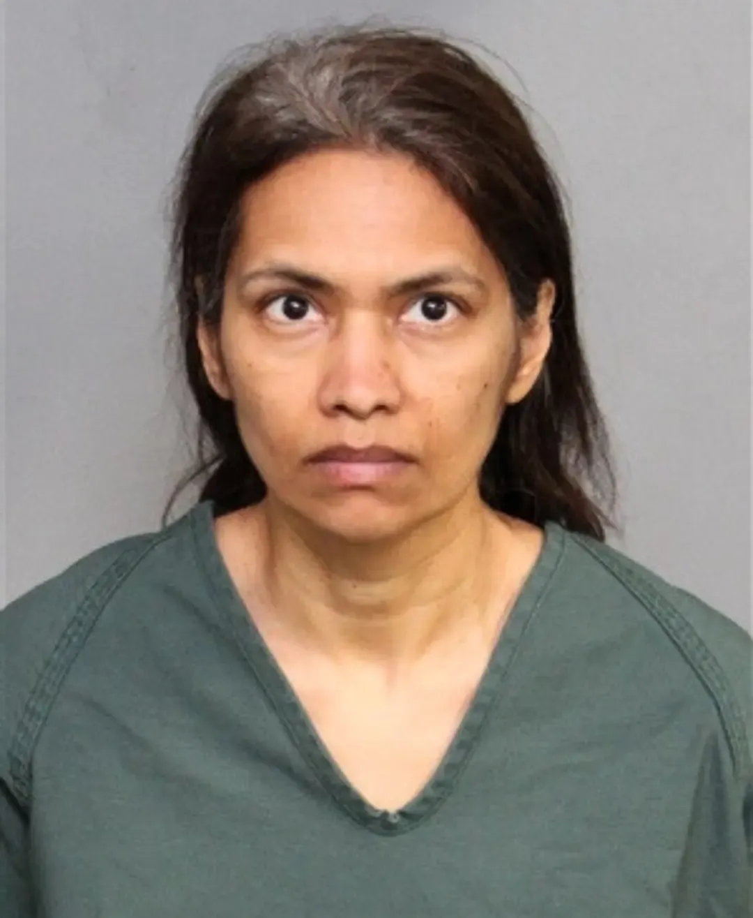 Indian-Origin Woman Arrested for Son's Murder After Disneyland Visit
