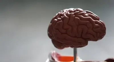 Indian Researchers Discover Melatonin as a Potential Treatment for Parkinson's Disease