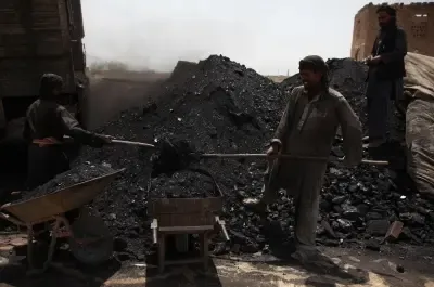 Has India’s Coal Production Increased by 3.4% to Over 86 Million Tonnes in May?