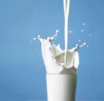 Did India Achieve an 80% Increase in Dairy Exports for 2024-25?