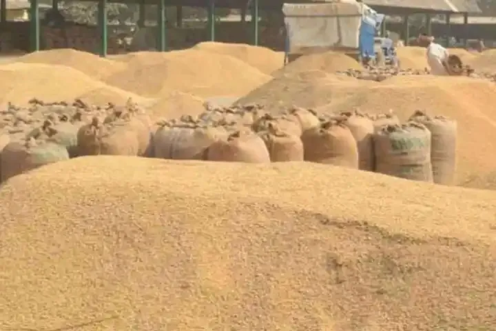 Has India’s food production truly reached a record 354 million tonnes in 2024-25?