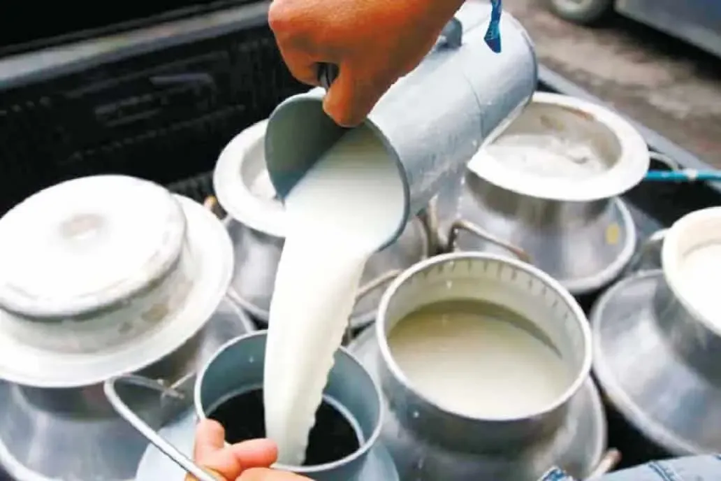 India’s Milk Production Grows by 63.6% Over a Decade, Contributes 25% to Global Output