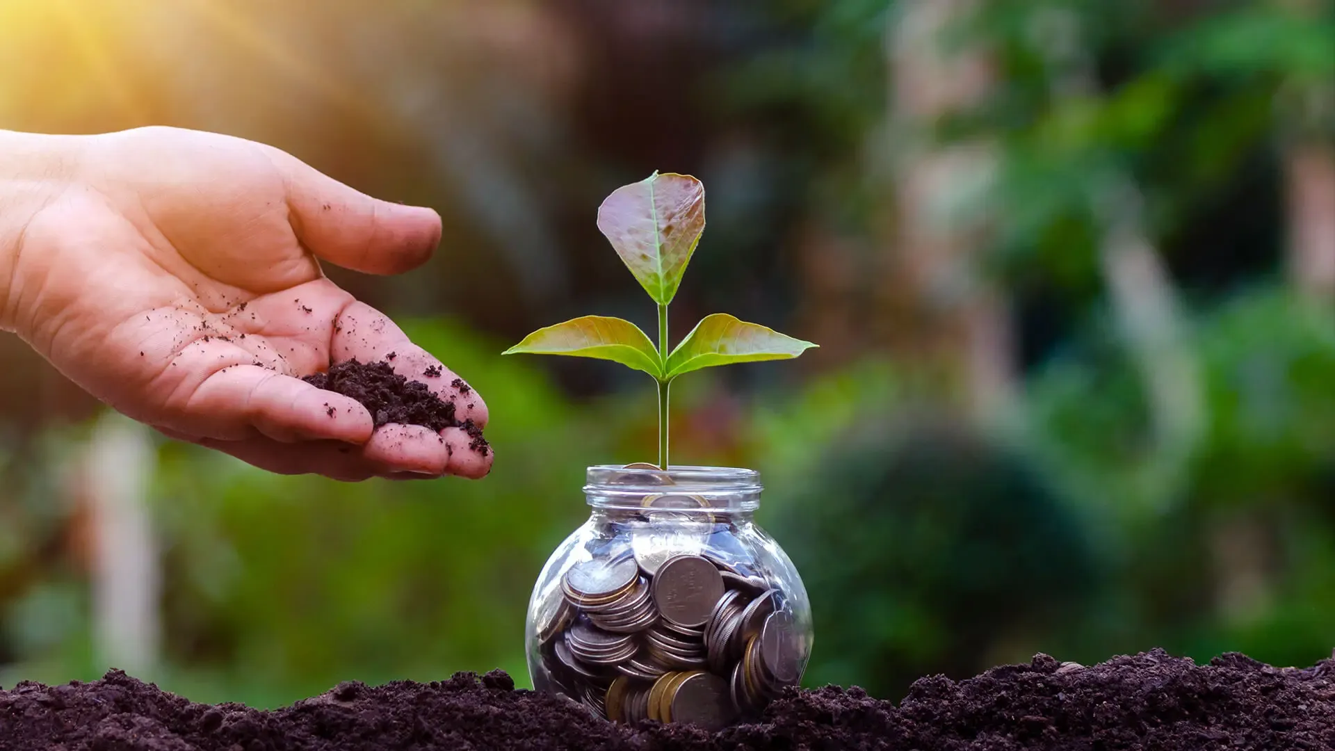 India's Mutual Fund Sector Expands 6-Fold in a Decade