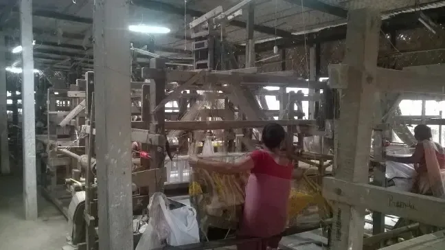 India’s Raw Silk Production Reaches 34,042 Metric Tonnes from April to January