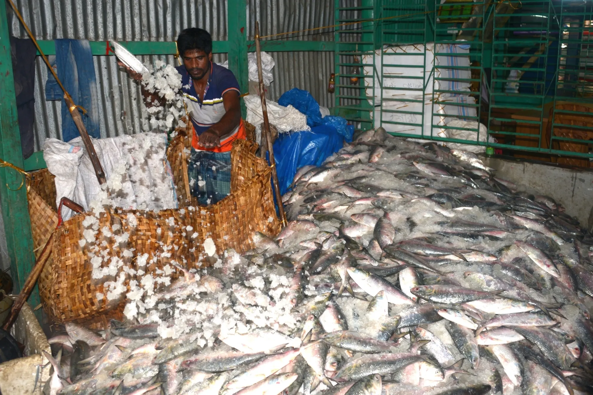 How are India's Seafood Exports Thriving Amid Global Challenges?