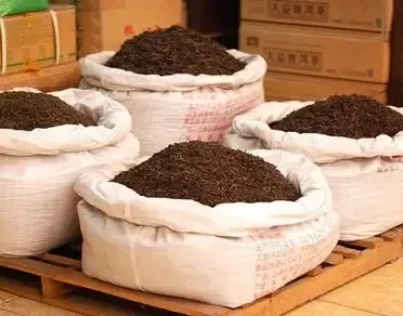 India’s Tea Exports Reach Record Levels