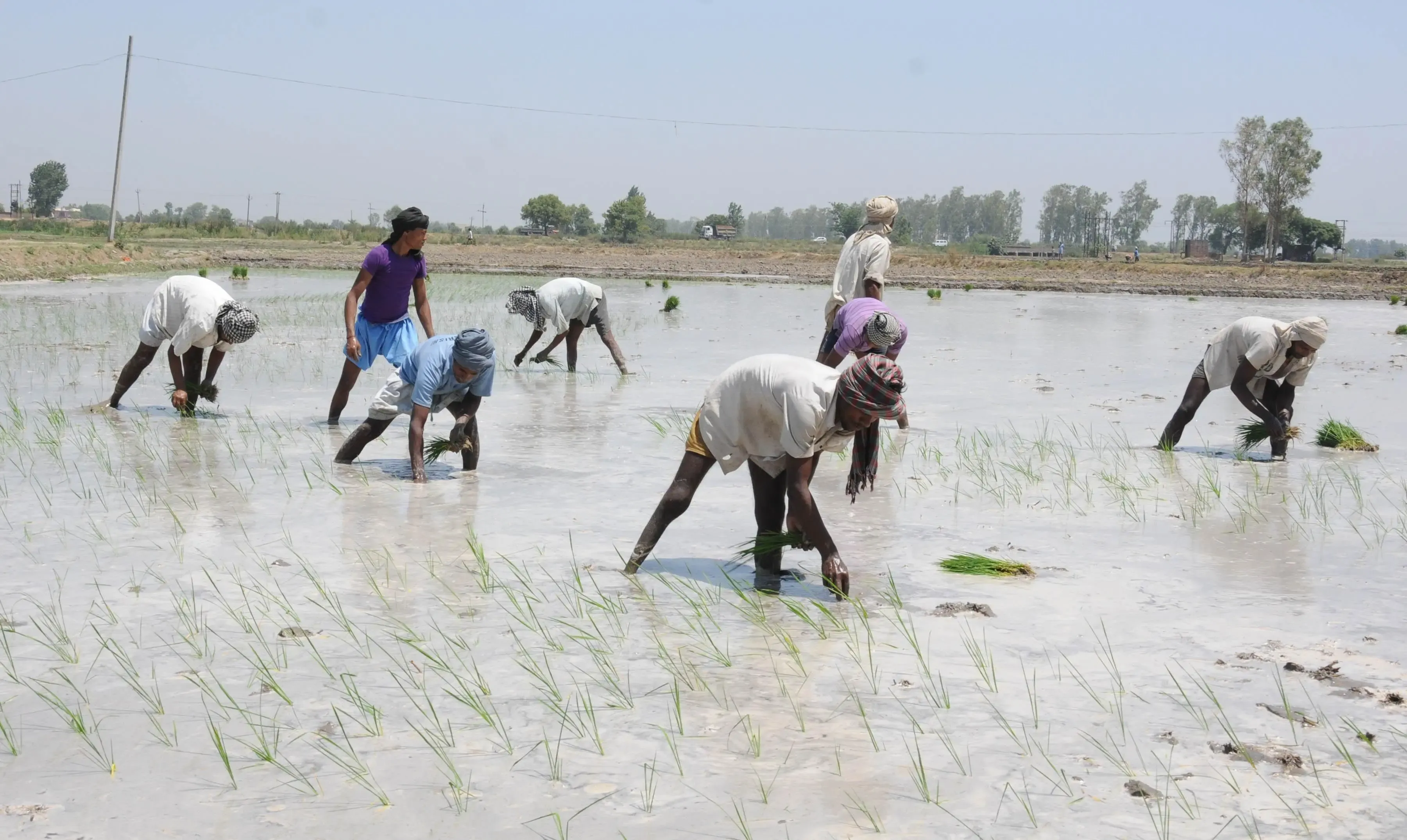 Relief from Inflation for Agricultural and Rural Workers