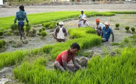 Has Inflation Eased for India's Farm and Rural Workers in May?