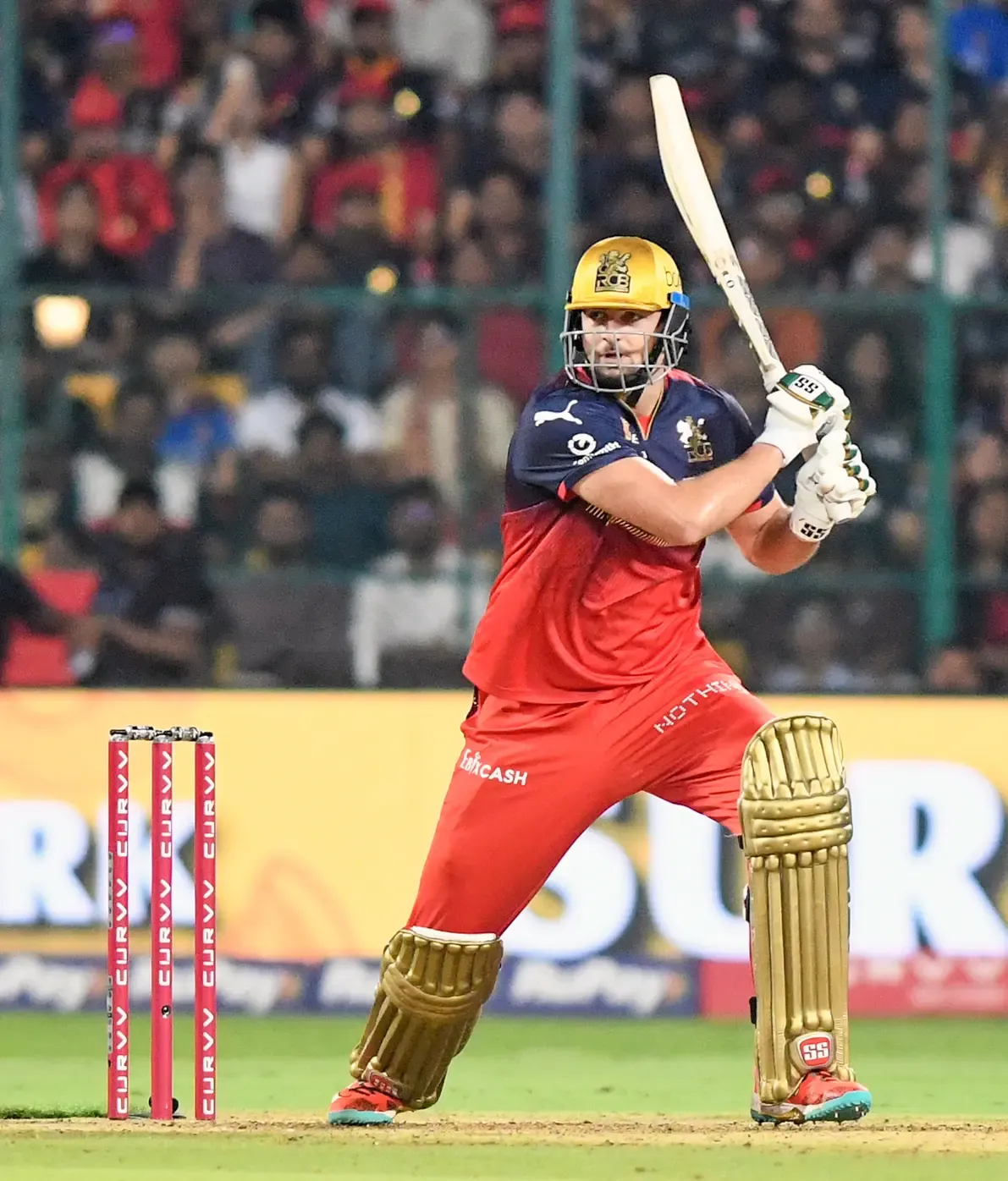 IPL 2025: Tim David Emphasizes Need for RCB to Secure Home Wins