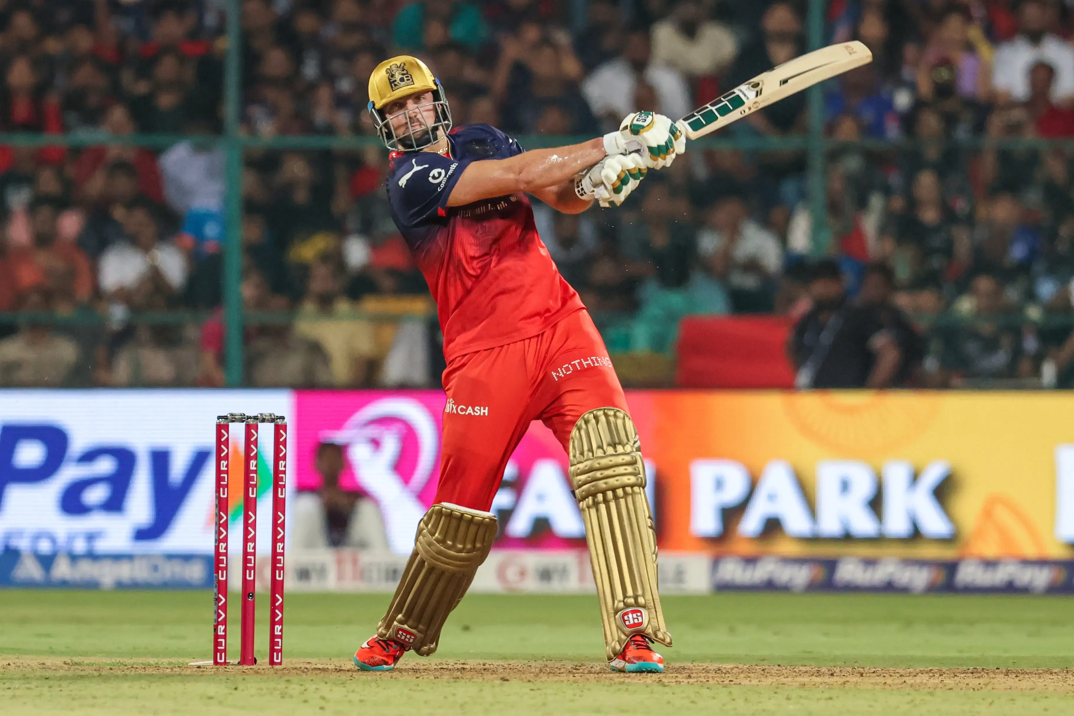 Why Is Tim David Thankful for RCB’s Coaching Plans Ahead of IPL 2025?