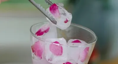 क्या थी मशीन से बर्फ जमाने का पहला प्रदर्शन?