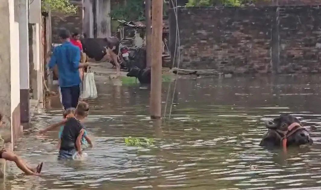 क्या जालंधर में बारिश से बढ़ी लोगों की चिंता, बाढ़ग्रस्त गांव में बिगड़े हालात?