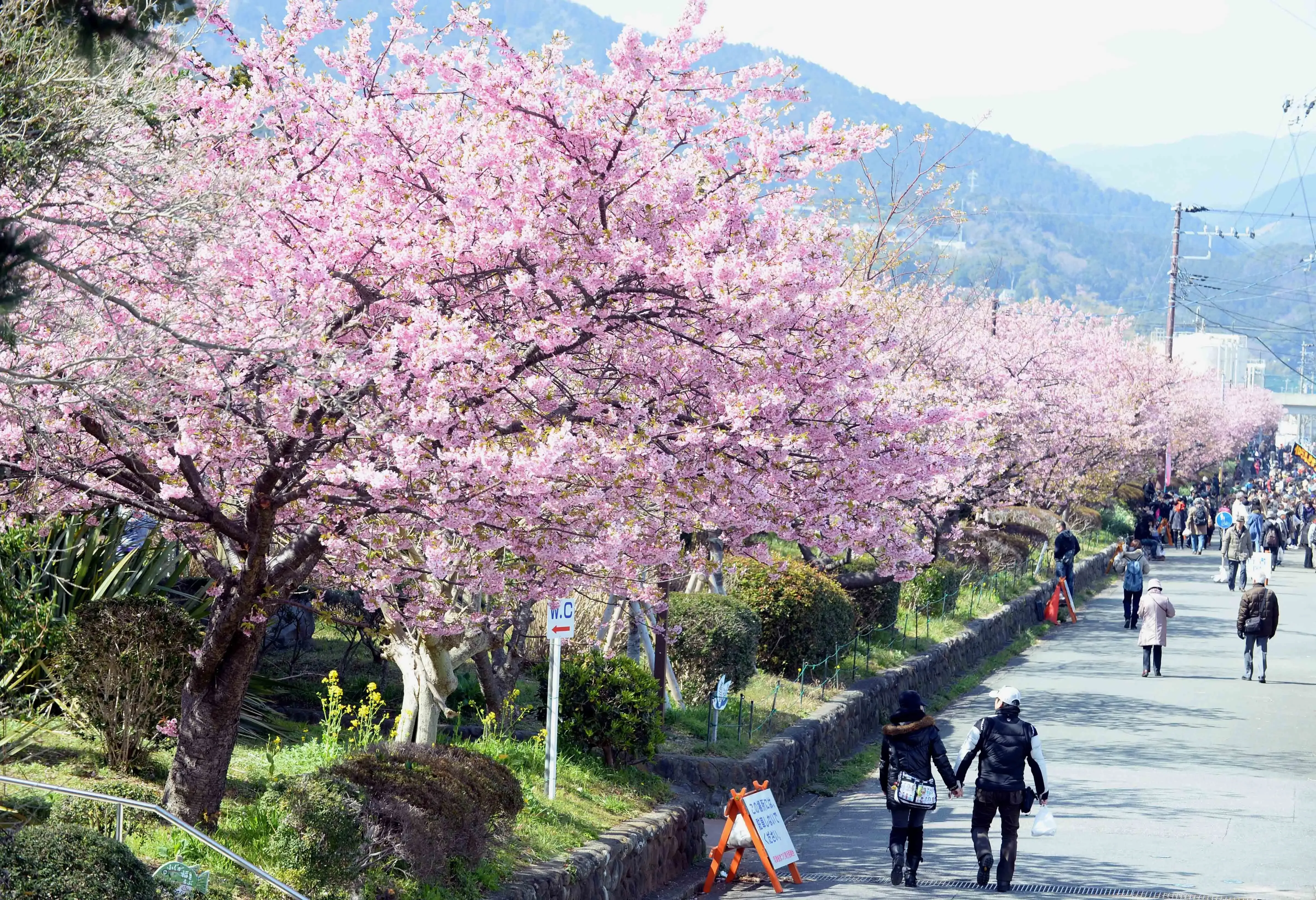 Japan Achieves Record-Breaking Inbound Tourism and Expenditure