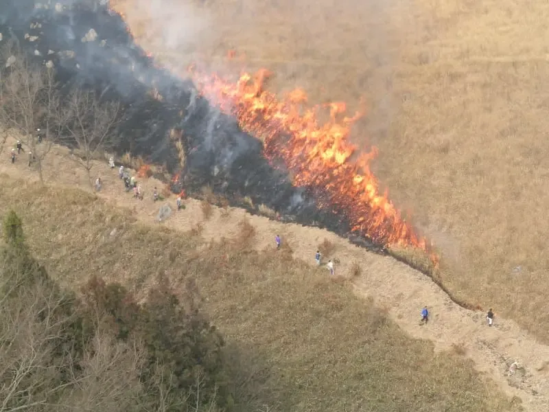Japan: Wildfire in Yamanashi continues to burn
