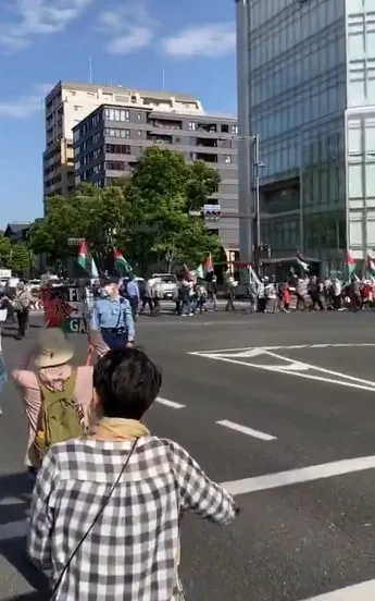 Why is Japan's Constitution Day Significant? Rally in Tokyo for Peace and Against War