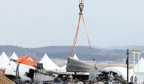 Jeju Aeroplane received bird activity warning one minute before black box stopped: Ministry