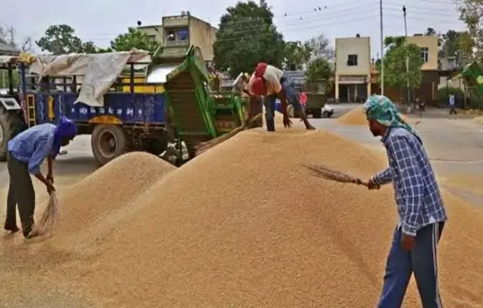Why Are Jharkhand Farmers Still Waiting for Paddy Payments?