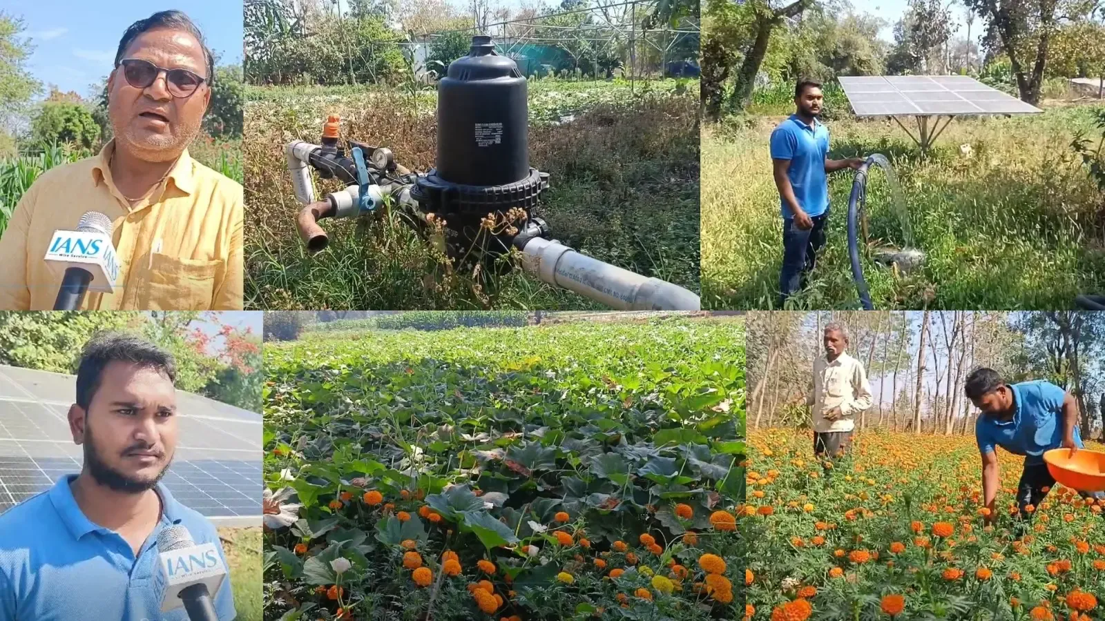 Jharkhand Farmers Adopt Innovative Agricultural Practices with Central Government Initiatives