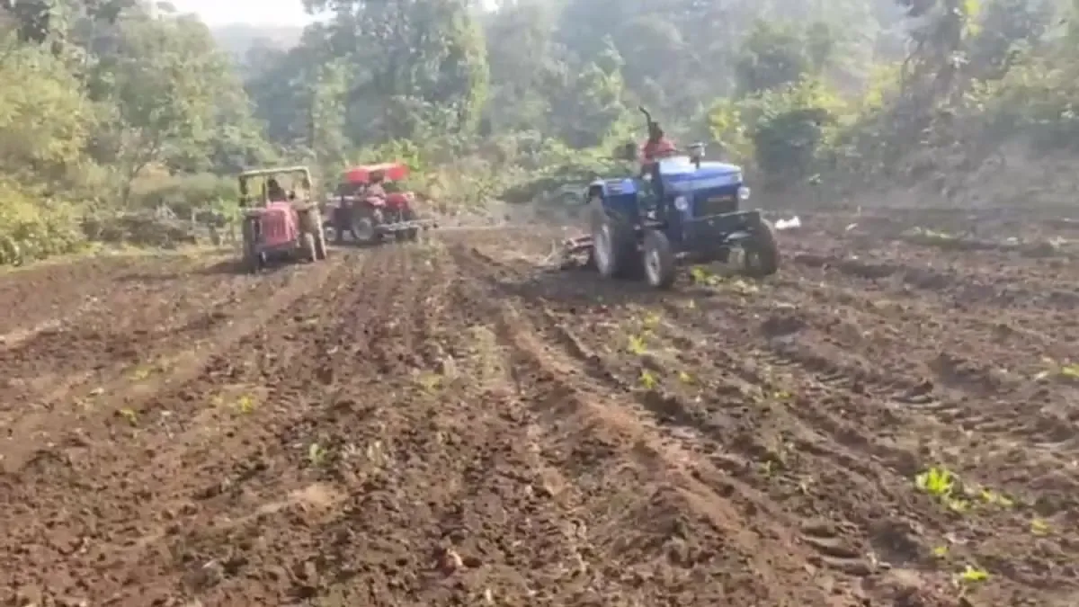 Jharkhand Police Eliminate More Than 100 Acres of Opium Cultivation in Just 15 Days
