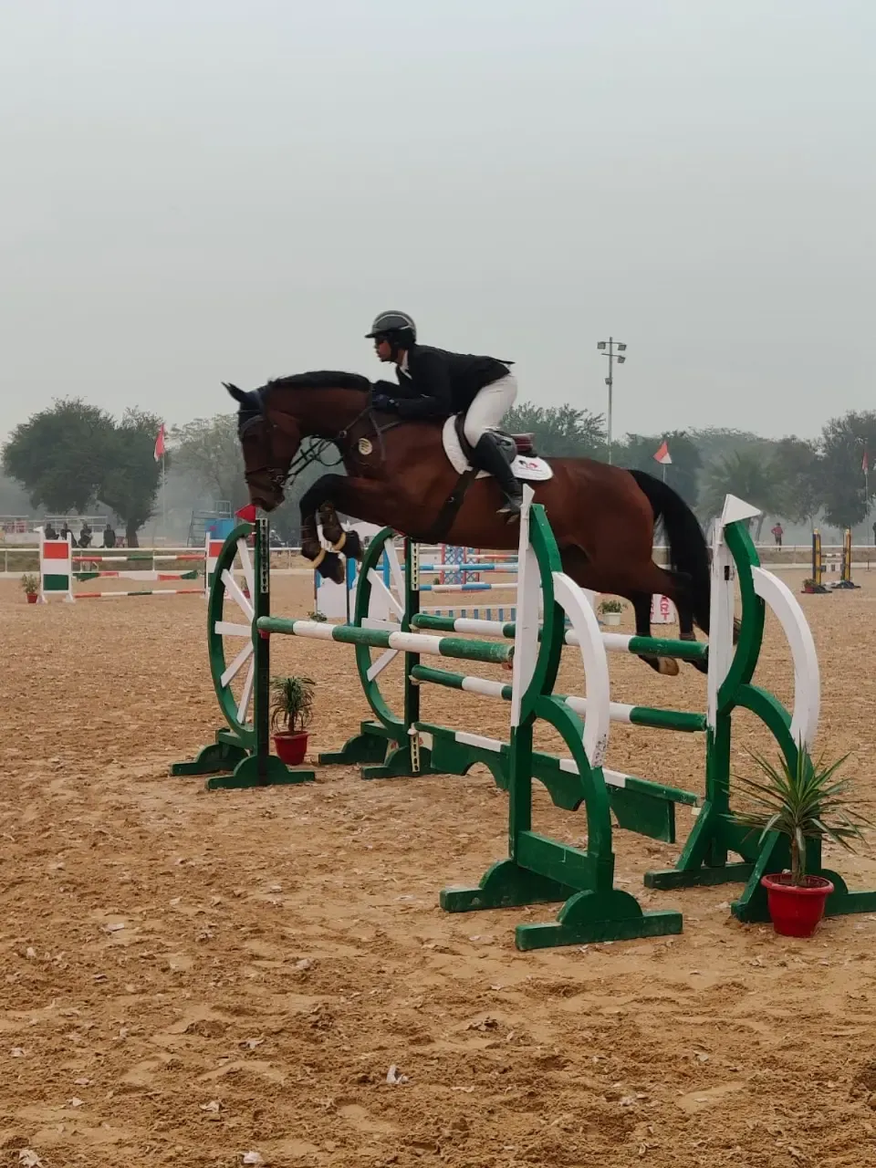 Junior National Equestrian Championship: Dhoni Dominates in Tent Pegging; Lakdawala Triumphs in Showjumping