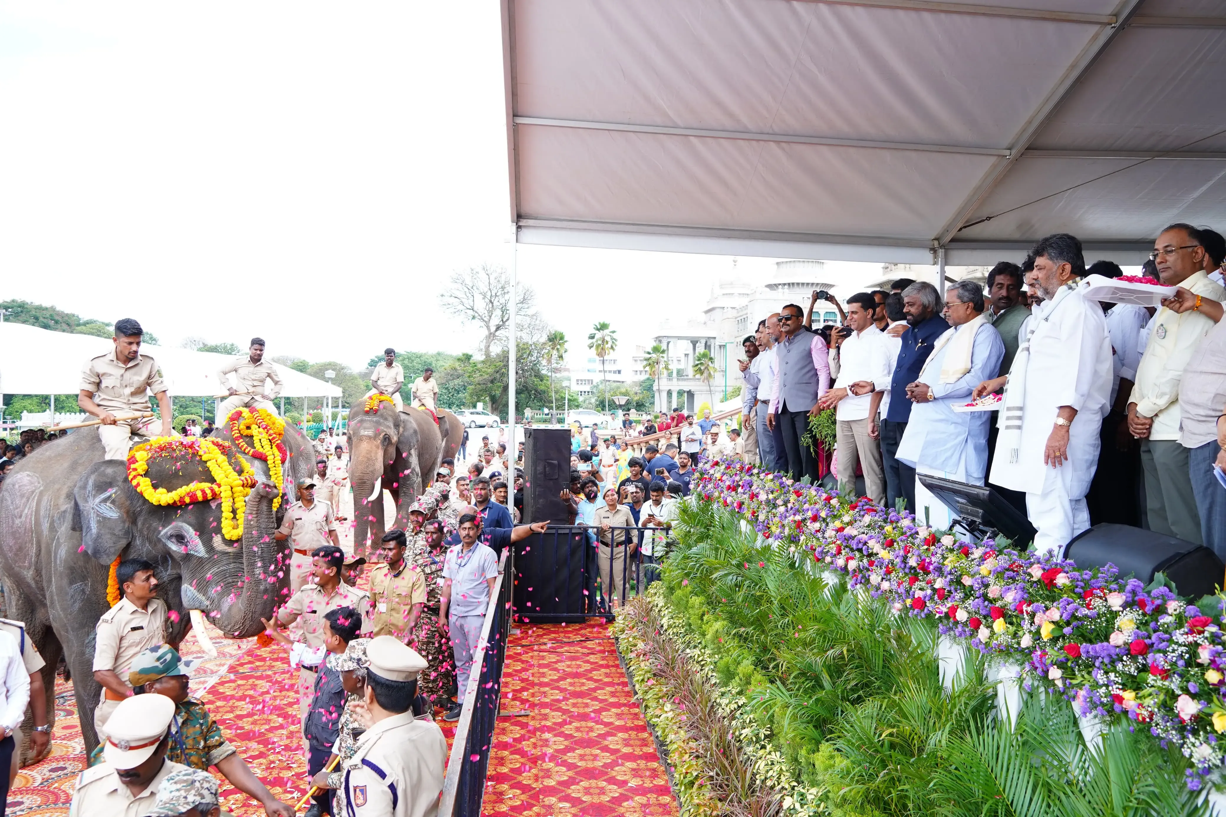 Why Did Karnataka Transfer Four Trained Kumki Elephants to Andhra Pradesh?