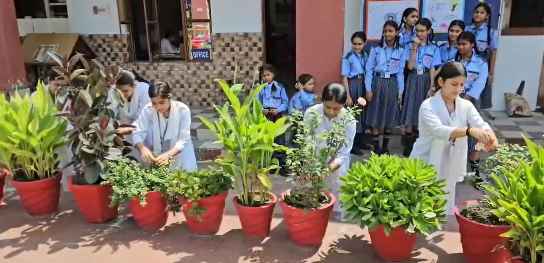 क्या कश्‍मीर में छात्रों ने पेड़-पौधों को रक्षासूत्र बांधकर रक्षाबंधन मनाया?