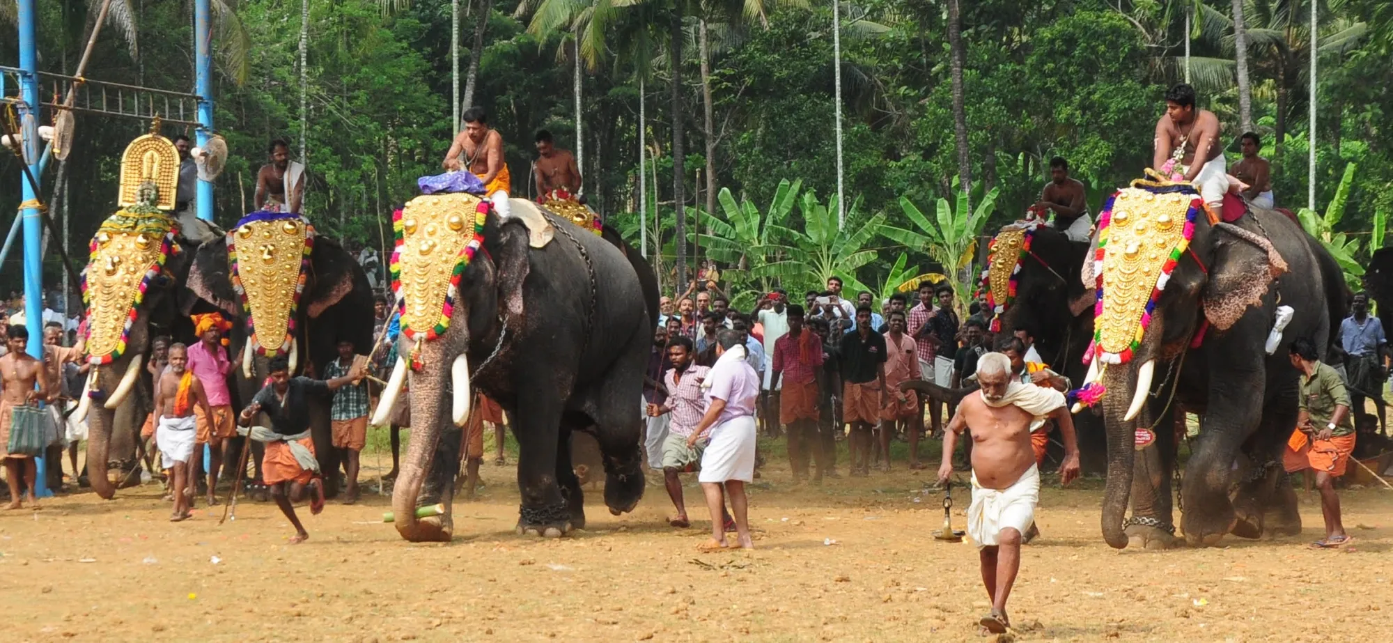 Temple Trusts in Kerala Approach Supreme Court Against Elephant Management Restrictions for Thrissur Pooram