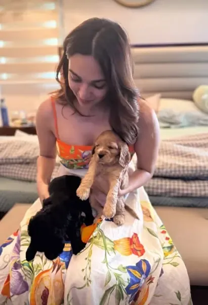 Kiara Advani Exudes Joy While Playing with Puppies During Pregnancy