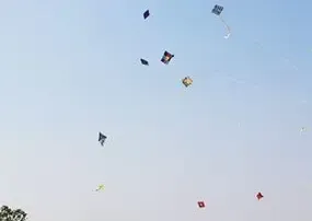Kite-Flying Accidents Result in Four Fatalities in Telangana