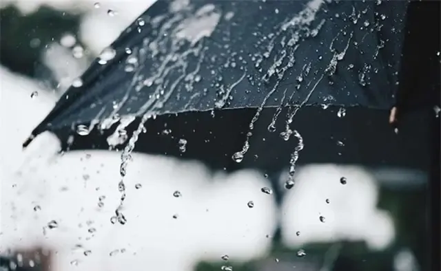 Forecast for Light to Moderate Rain in Coastal Regions of TN, Puducherry, and Karaikkal Starting February 25
