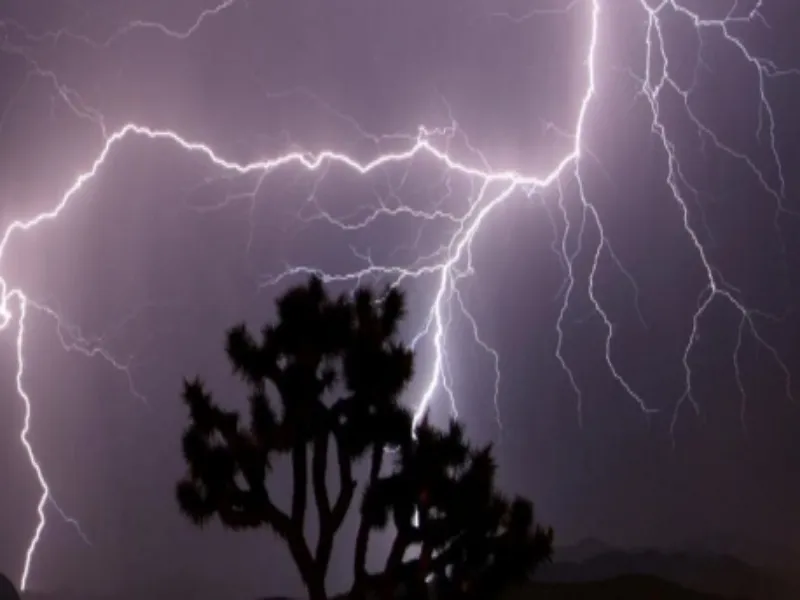 Did a lightning strike claim a life in Madhya Pradesh's Sehore?
