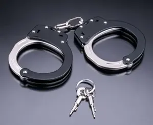 What Happened in Vadodara? Liquor and Vehicles Seized, Two Arrested
