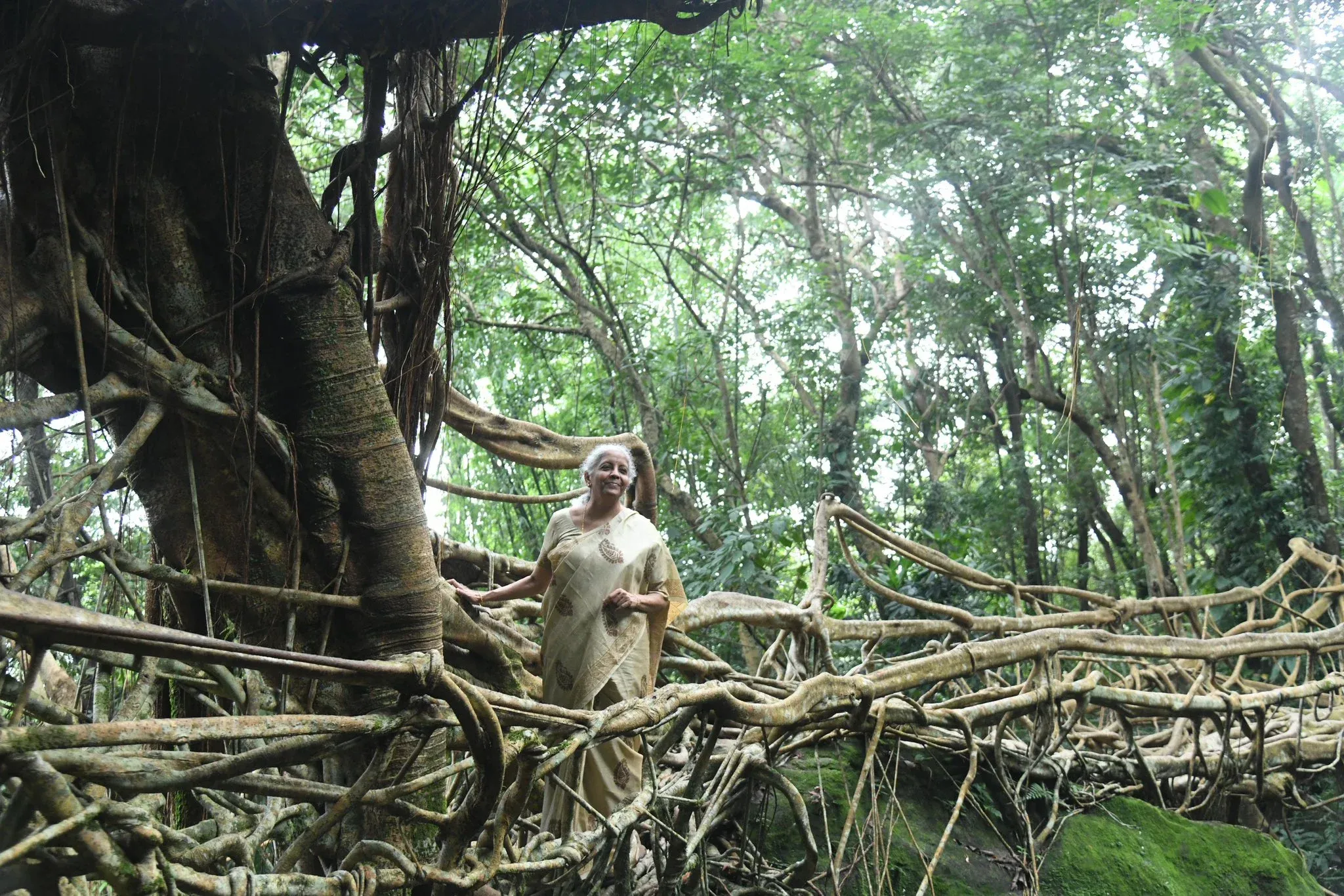 How Do Living Root Bridges Pave the Way for a Sustainable Future?