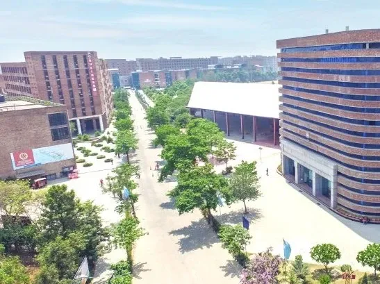 Why Did Lovely Professional University Terminate All MoUs with Turkey and Azerbaijan?