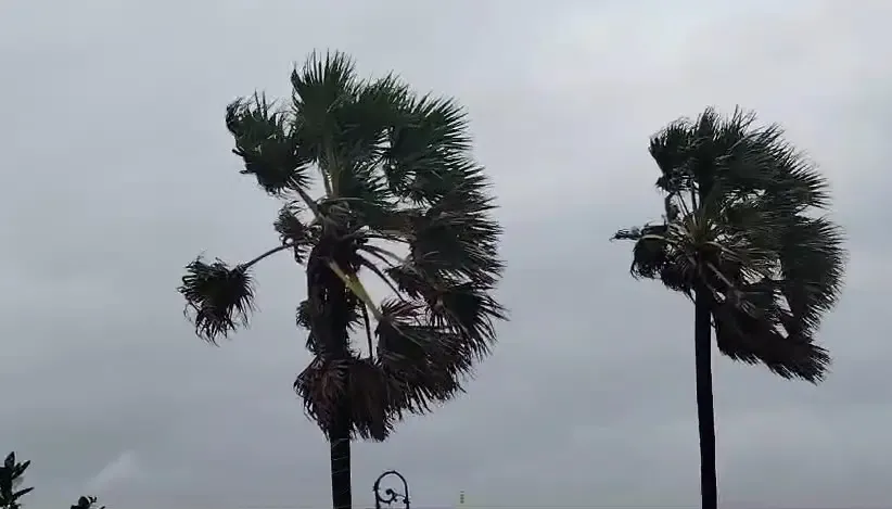Low-Pressure System in Tamil Nadu Set to Intensify Within 24 Hours