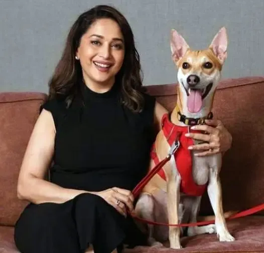 Madhuri Dixit Snuggles with Her Dog Carmelo for National Pet Day