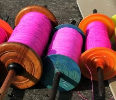 What Happened in Madhya Pradesh? Chinese Kite String Injures Four in Ratlam