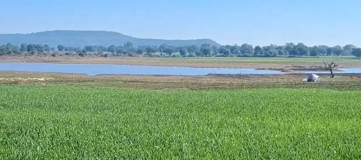 क्या मध्य प्रदेश के दमोह में किसान सम्मान निधि ने किसानों को आर्थिक संबल दिया है?