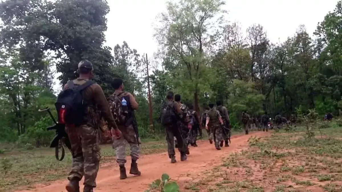 क्या मध्य प्रदेश में पचामादादर और कटेझिरिया के जंगलों में चार नक्सली ढेर हुए?